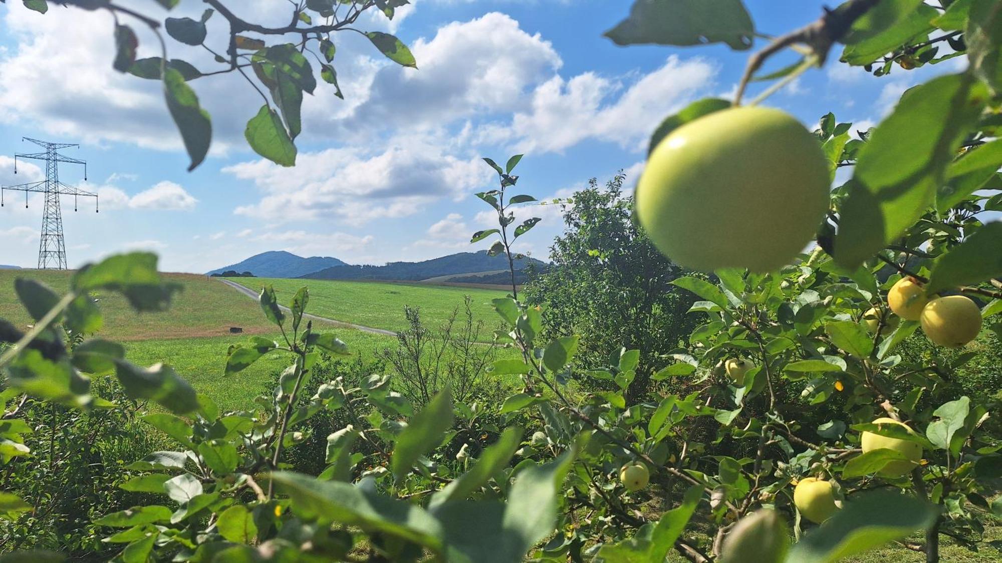 Domek Pod Jabloni Ticha Екстер'єр фото